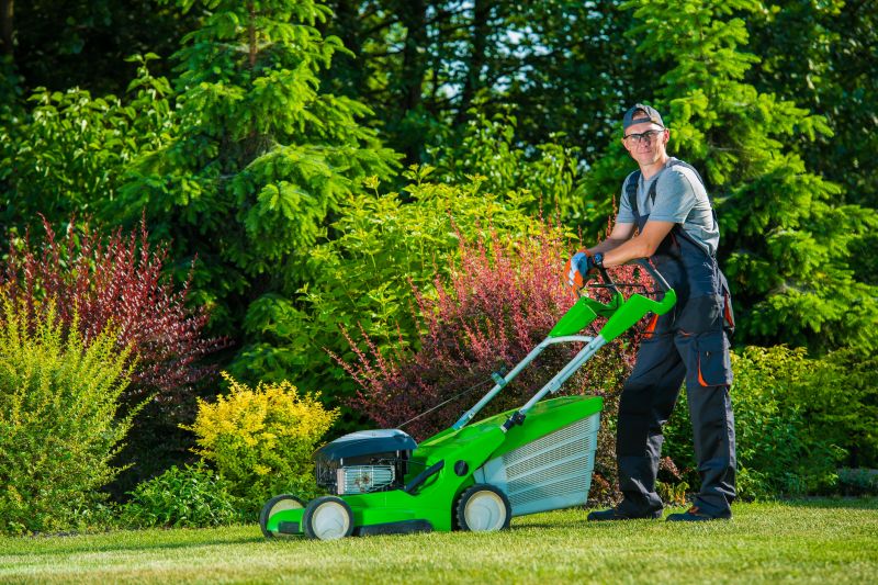 Lawn Edging Service