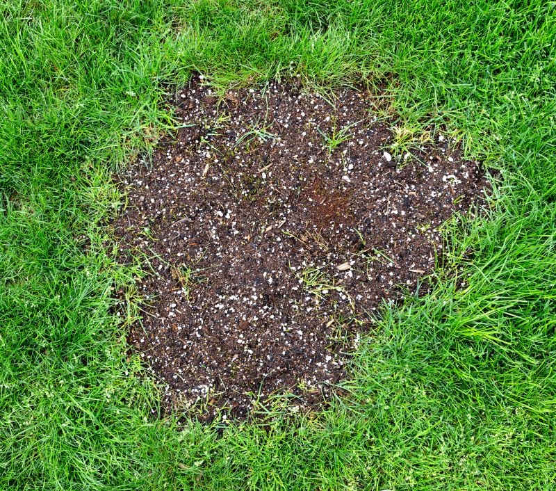 Lawn Repair Service