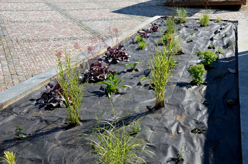 Mulch Fabric Installation