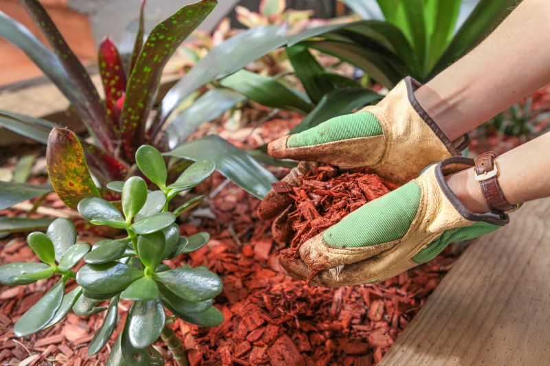 Mulch Installation