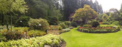 Mulch Landscaping