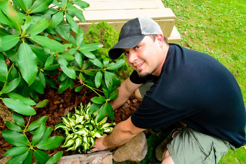 Mulch Landscaping