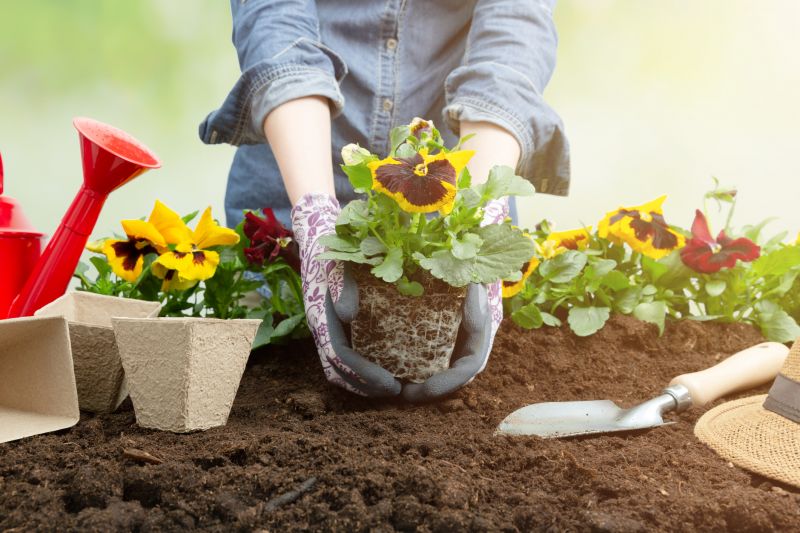 Perennial Flower Planting