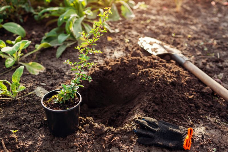 Perennials Planting