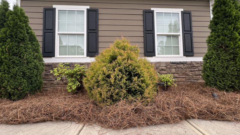 Pine Bark Mulch Installation