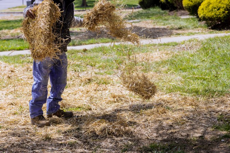 Pine Mulch Spreading