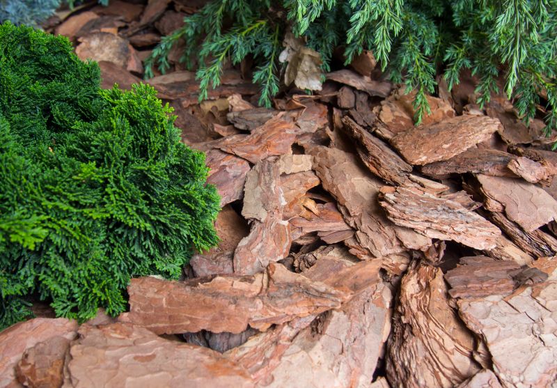 Pine Mulch Spreading