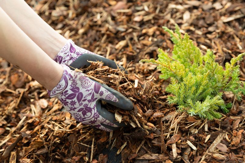 Pine Mulch Spreading