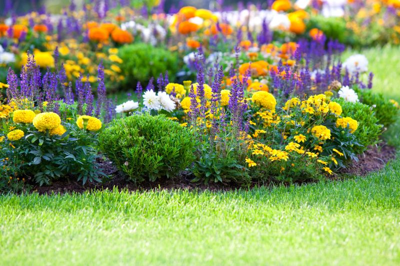 Plant Bed Mulching