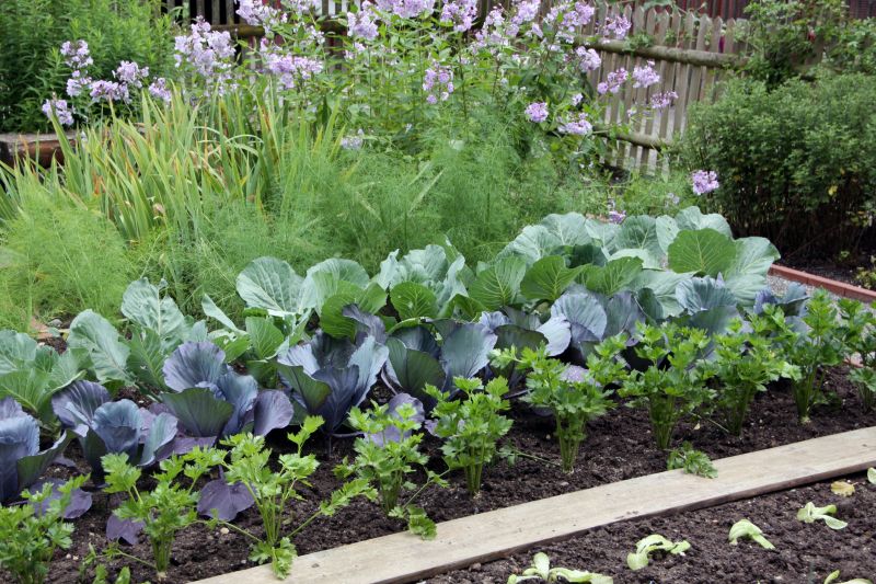 Plant Bed Weeding