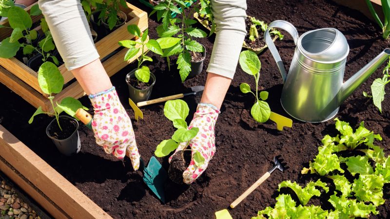 Plant Bed Weeding