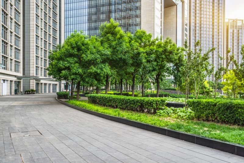 Privacy Hedge Installation