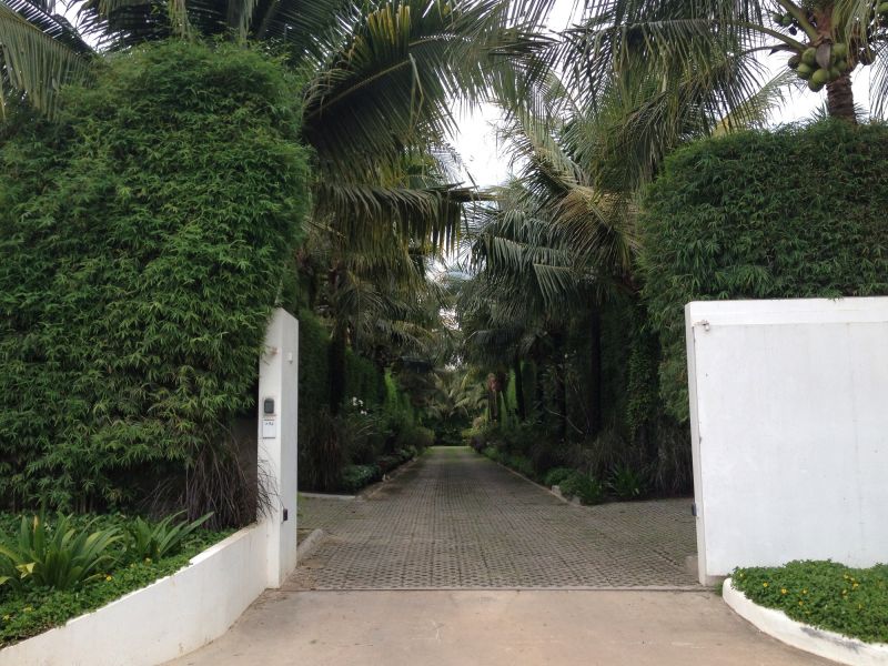 Privacy Landscaping