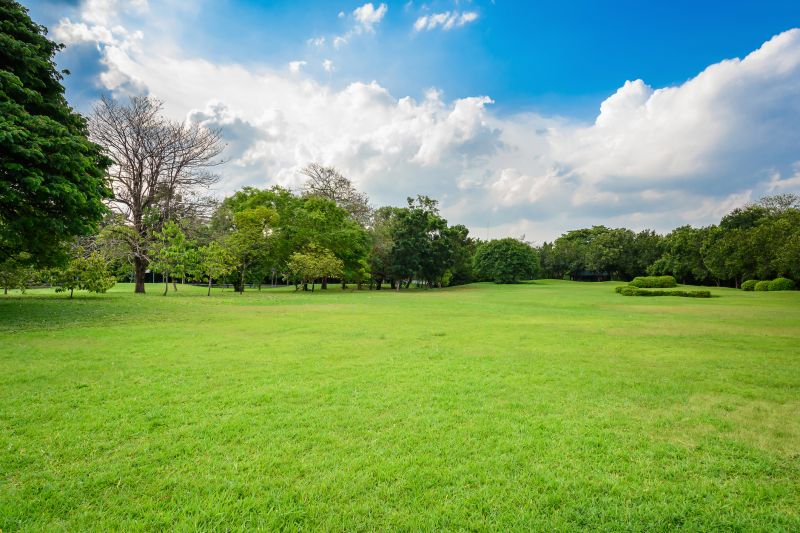 Products For Landscapings in use
