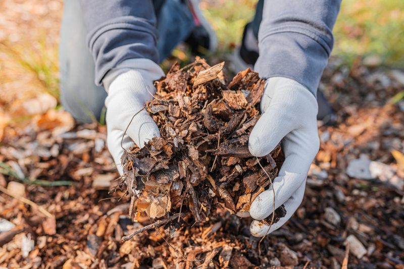 Residential Mulching