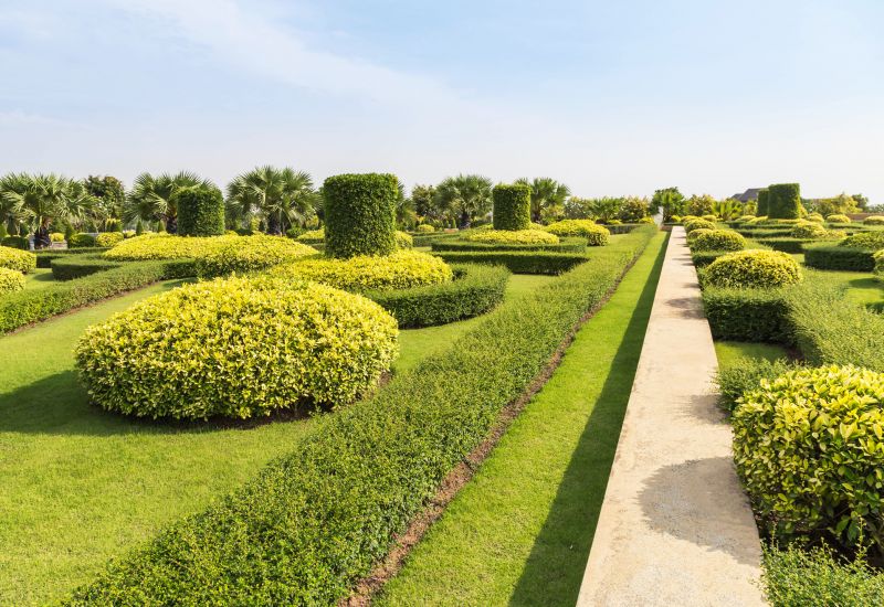 Shrub Landscaping