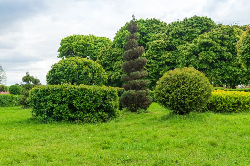 Shrubbery Planting