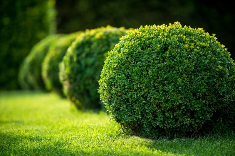 Shrubbery Planting