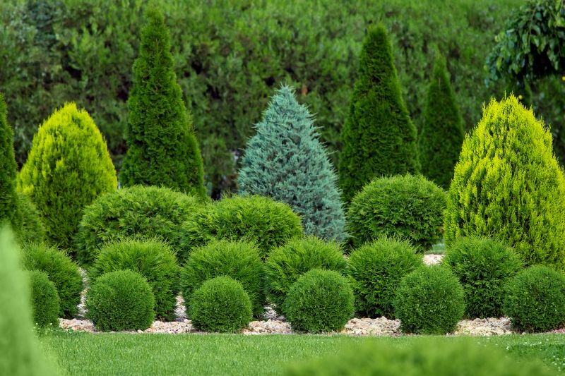 Shrubbery Planting