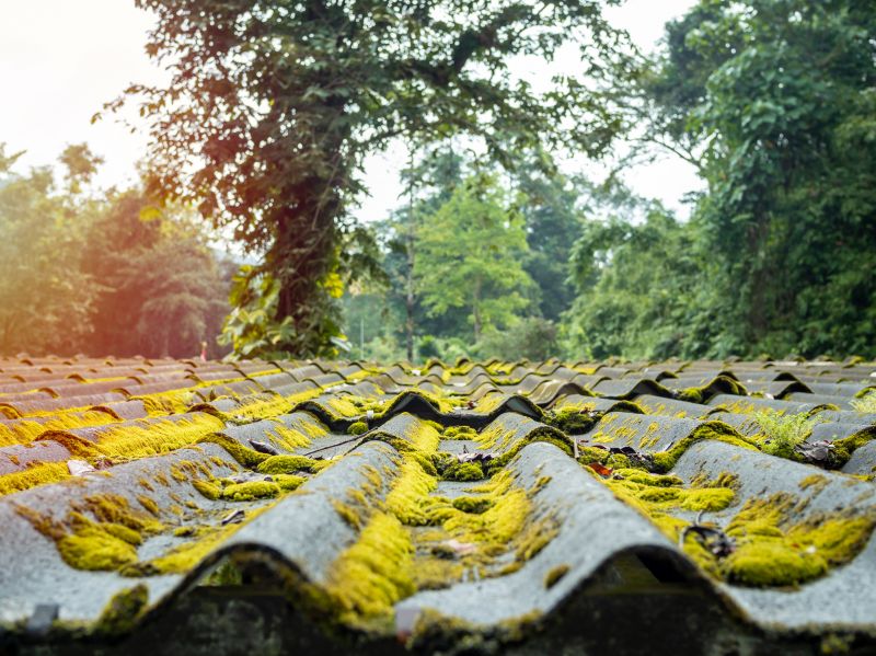 Spanish Moss Treatment