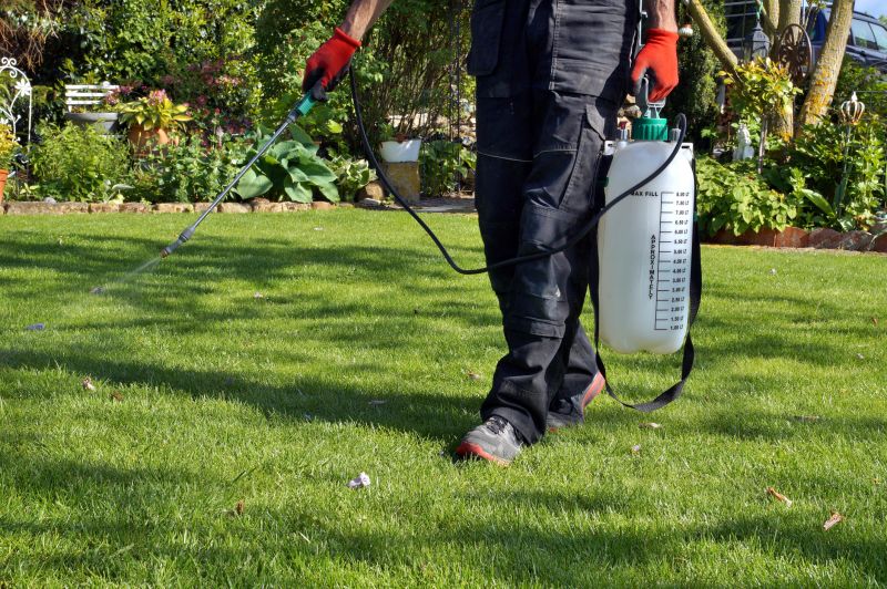 Spring Garden Maintenance