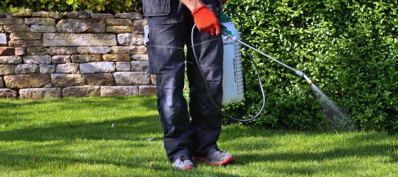 Spring Garden Maintenance