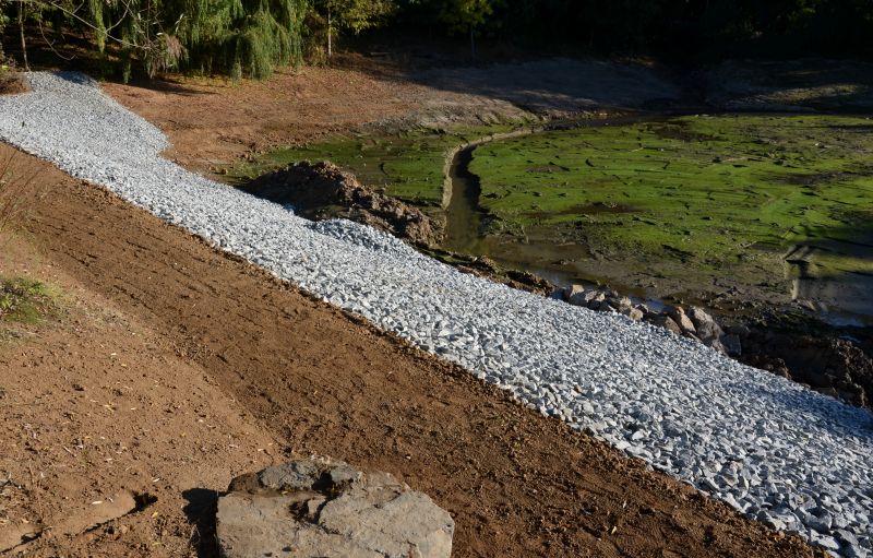 Swale Landscaping