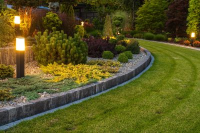 Tree Edging Installation