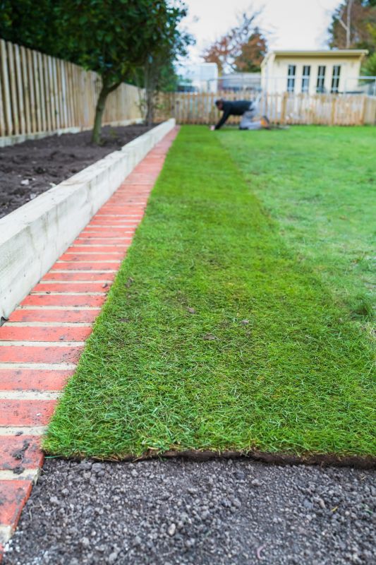 Tree Edging Installation