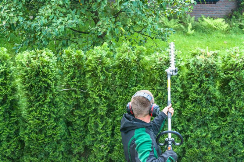 Tree Edging Installation