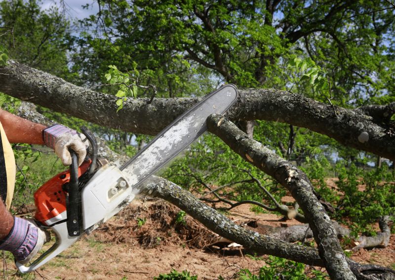 Tree Staking Service