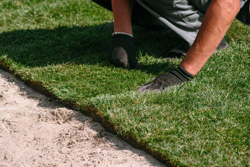 Turf Installation