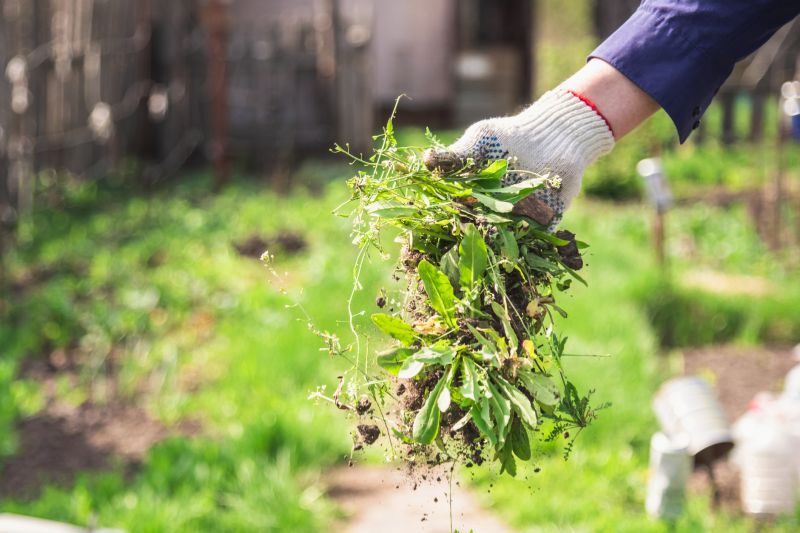 Turf Removal Service