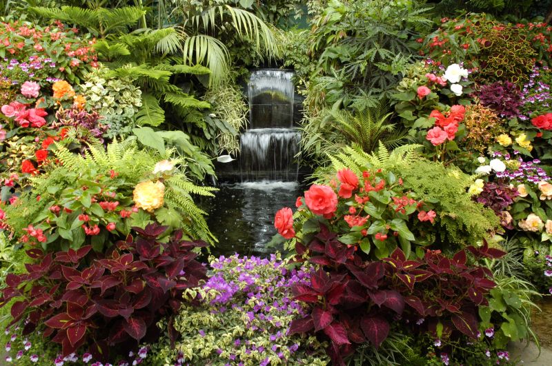 Water Garden Installation