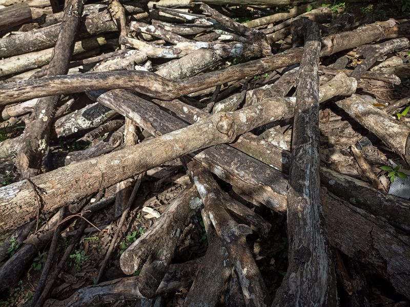 Wood Chips Removal