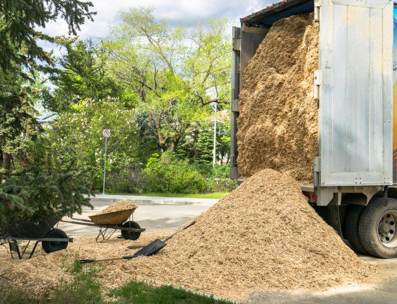 Wood Chips Removal
