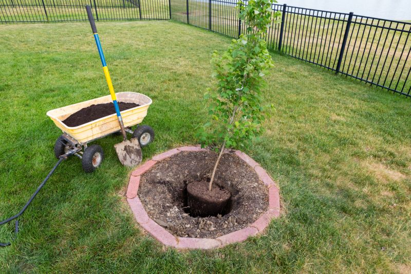 Yard Construction