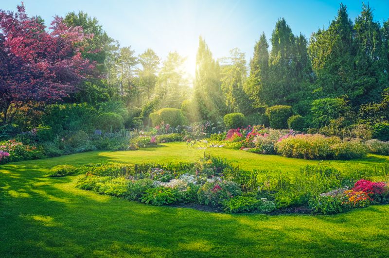 Yard Enlargement