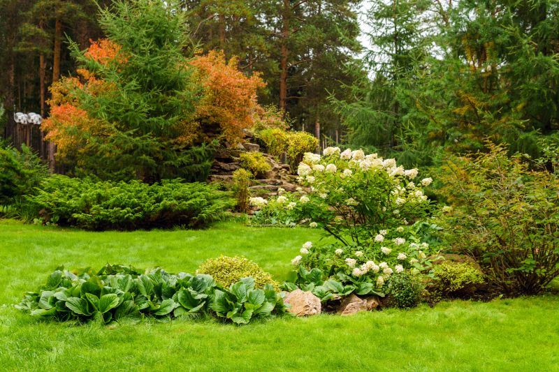 Yard Xeriscaping