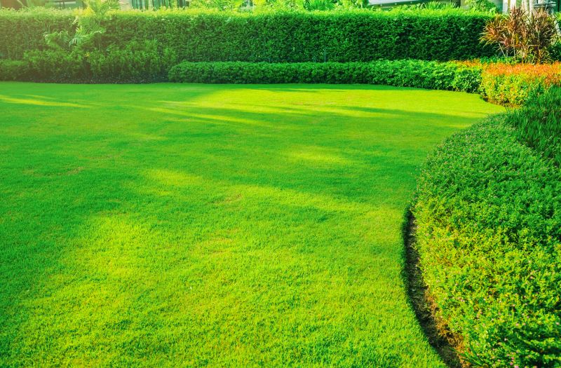 Yard Xeriscaping