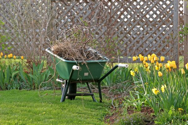 Flower Bed Cleanup Service in Doylestown