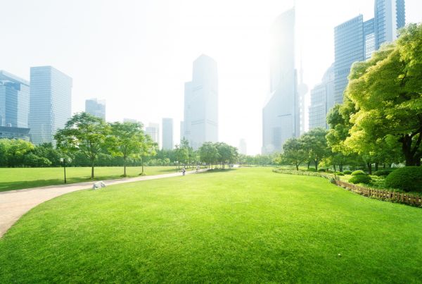 Commercial Landscape Maintenance in Doylestown