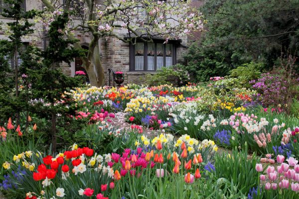 Garden Maintenance Service in Doylestown