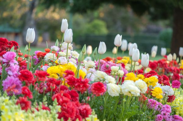 Gardening Service in Doylestown