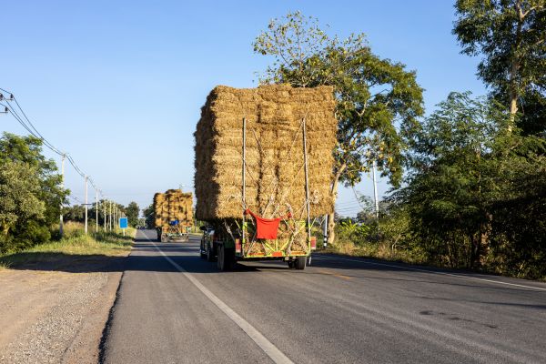 Pine Straw Delivery in Doylestown