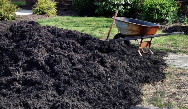 Black Mulch Delivery in Doylestown