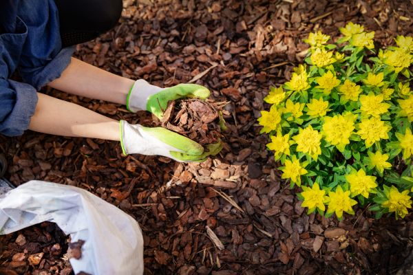 Garden Mulching in Doylestown