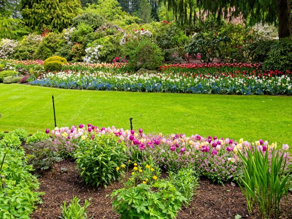 Residential Landscape Design in Doylestown