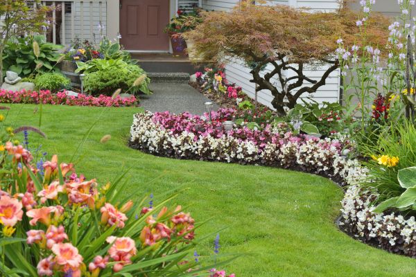 Perennial Landscaping in Doylestown