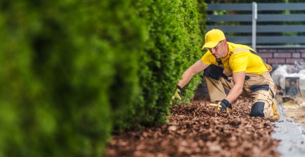 Cypress Mulch Installation in Doylestown